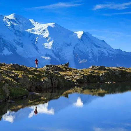 Cham Sud Jonquilles 001 - Happy Daire Chamonix
